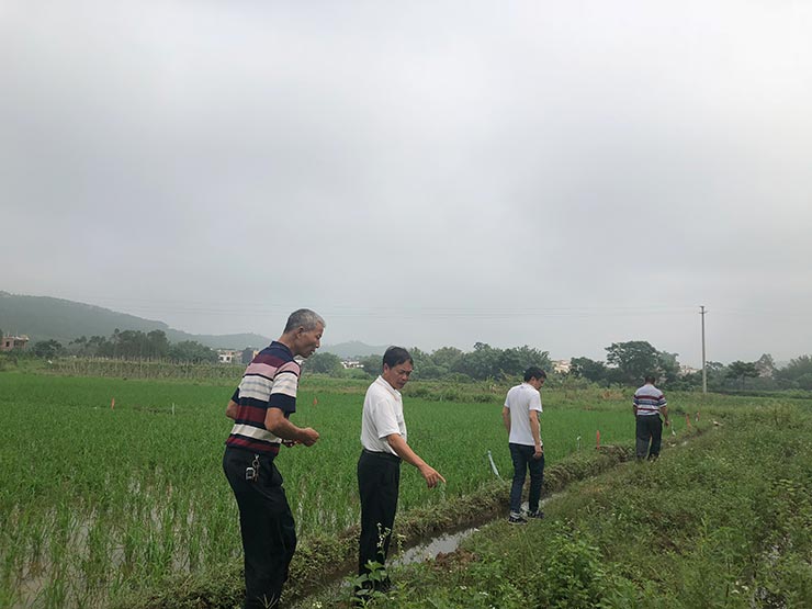 9888��˹ά��˹(�ɷ�)���޹�˾-�ٷ���վ