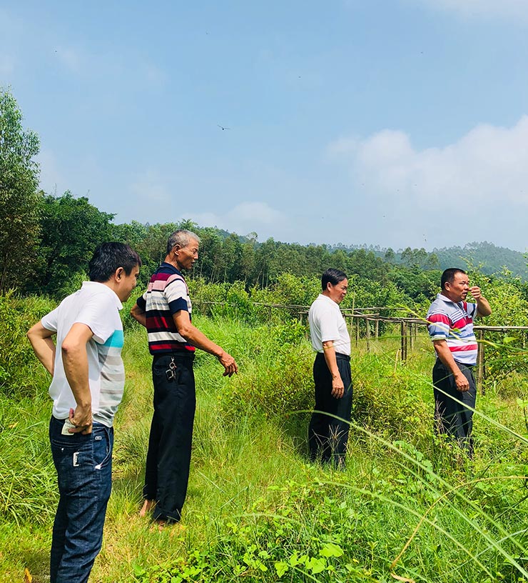 9888��˹ά��˹(�ɷ�)���޹�˾-�ٷ���վ