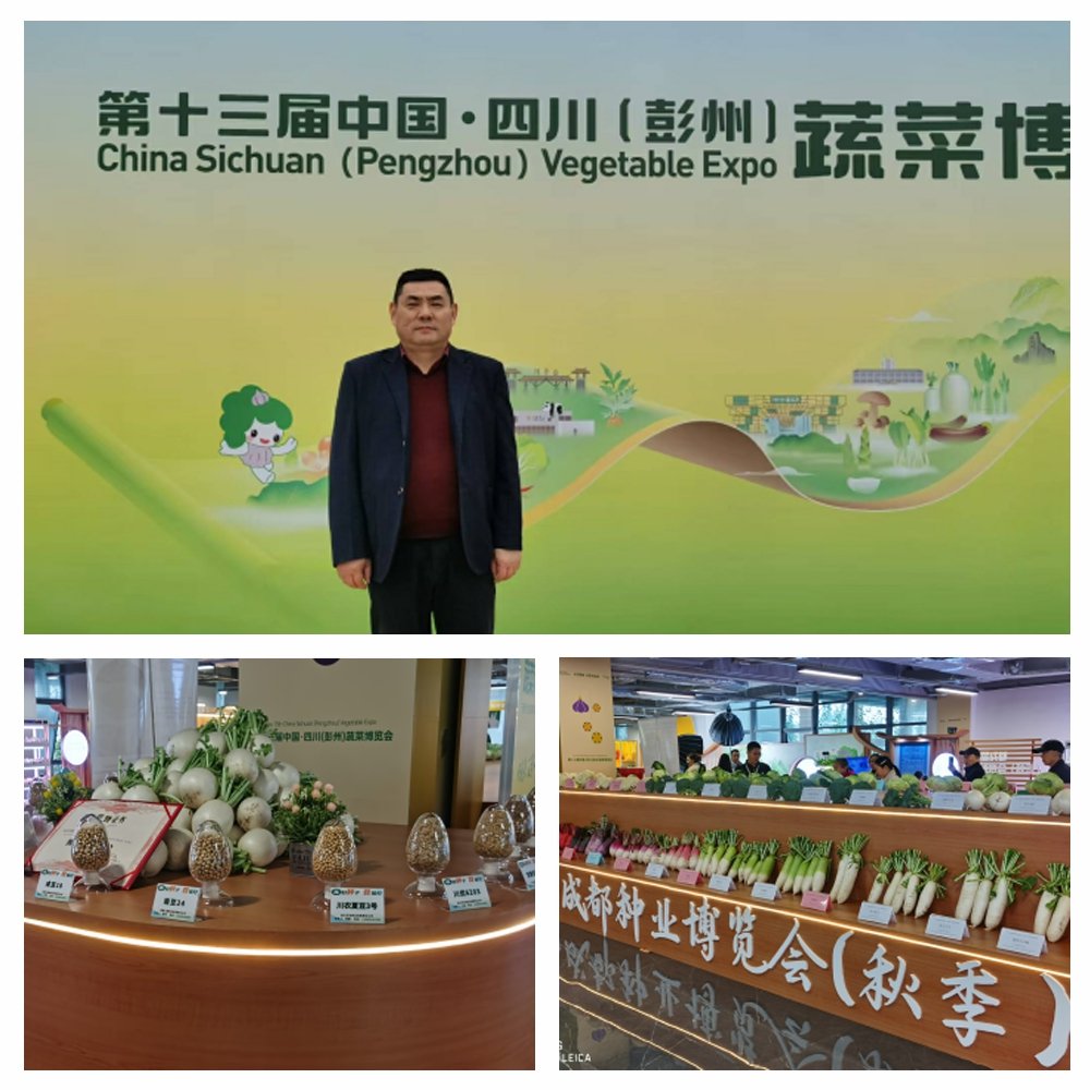 9888��˹ά��˹(�ɷ�)���޹�˾-�ٷ���վ