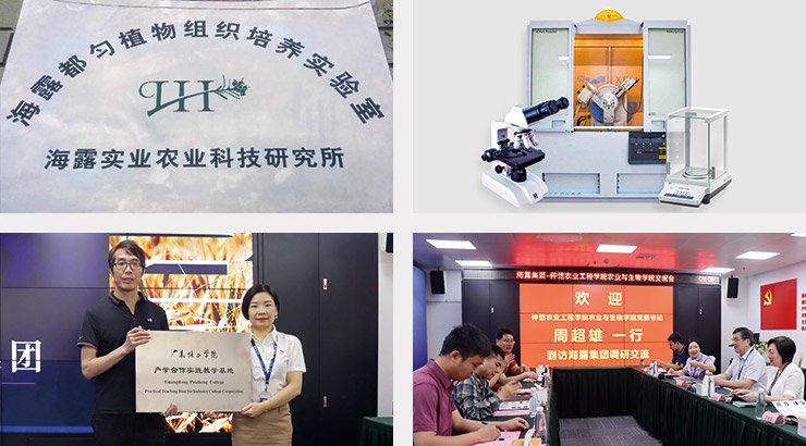 9888��˹ά��˹(�ɷ�)���޹�˾-�ٷ���վ