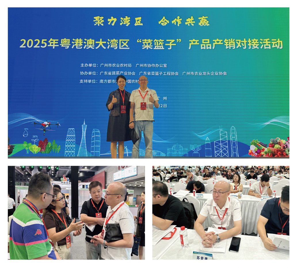1-250R611033C27 9888拉斯维加斯(股份)有限公司-官方网站