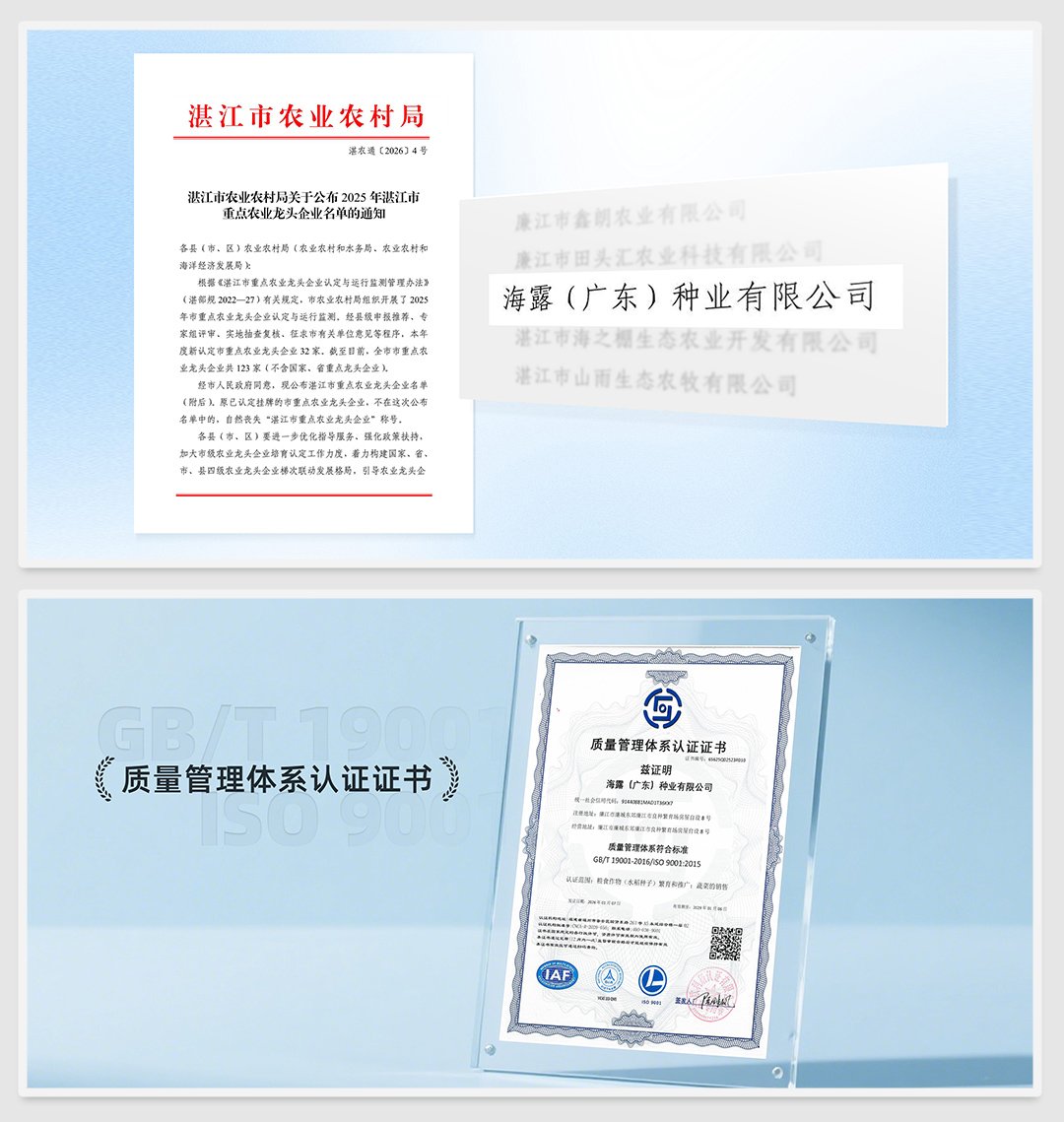 9888��˹ά��˹(�ɷ�)���޹�˾-�ٷ���վ